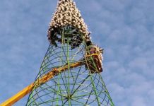 ﻿﻿На главную елку Пензы начали прикреплять ветки