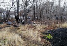 В Пензе на улице Ладожской нашли труп молодого мужчины