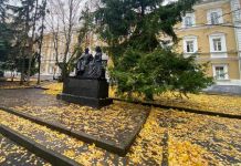 Пустырь на Красной отдали пензенской гимназии №1