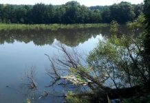 На пензенских водоемах за трое суток утонули три человека