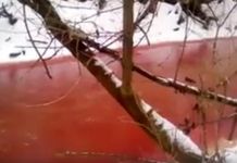 Под Пензой появилась багровая река 