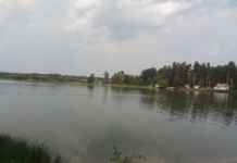 Во время отдыха у водоема в области утонул мужчина