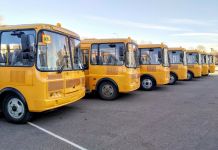 В школьных автобусах будут показывать познавательные видеоролики