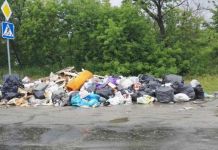 Специалисты Минлесхоза выявили очередную свалку в Пензе