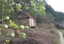 Пензенскую область ждут похолодание и заморозки