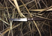 Под Пензой брат убил сестру на глазах у полицейских