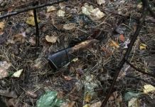 В области нашли труп пропавшего в 2015 году мужчины