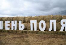 В пензенском минкульте рассказали о Дне поля