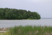 На Сурском водохранилище в начале июня зацвела акватория
