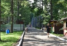 В Пензенском зоопарке появятся животные из Кыргызстана