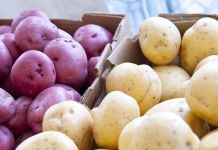 ﻿Производители предложили сетям пустить в продажу картофель «экономкласса»