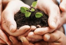 НКО Заречного приглашаются к участию в конкурсе на предоставление президентских грантов