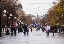 В области за сутки выявлено 164 новых случая коронавируса