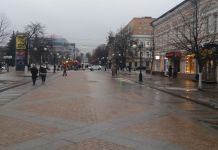 В Пензе хулиган сломал дверь в магазине на улице Московской