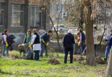 В Заре высадят 1000 деревьев за один день