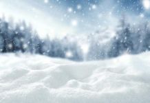 В Пензе к выходным обещают снег