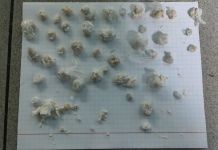 Таксист из Пензы пытался передать заключенному партию героина в зефире