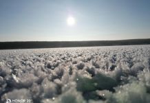 На Сурском водохранилище зацвели снежные кристаллы