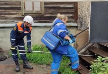 В Пензе собака не пускала медиков к больному