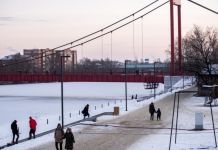 В области зафиксировано 198 новых случаев коронавируса