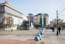Число жертв коронавируса в области превысило 200 человек