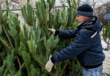 В Заречном не стали поднимать цены на елки