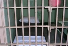 Житель области осужден за укрывательство убийцы