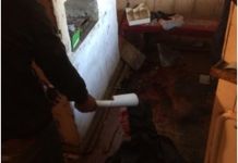 Житель области из-за продуктов на глазах у матери убил человека
