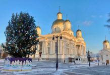 В Пензе на Соборной площади нарядили новогоднюю елку