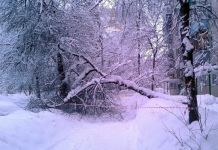 Пенза снежная: город завалило сугробами