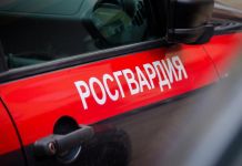 В Пензе ссора между таксистом и пассажиром чуть не переросла в драку 