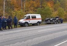 В Пензе пятый день не могут найти грибника