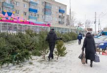 В декабре елки в Пензе будут продавать по 77 адресам