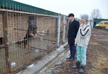 Пензенские депутаты без предупреждения проверили питомник для собак