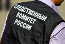 По факту смерти подростка в Заречном возбудили уголовное дело