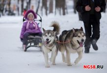Зимние забавы по-пензенски, или где в Пензе лыжи едут
