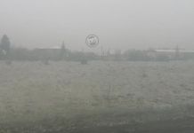 В Пензенской области 11 мая выпал снег