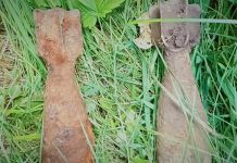 В Пензенской области грибники нашли две мины времен ВОВ