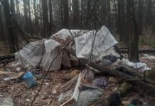В лесу на Западной поляне обнаружена «усадьба» бомжей