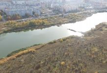Арбековские пруды планируют превратить в новую зону отдыха 