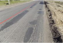 Пензячка просит отремонтировать дорогу к пруду