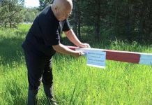 Пензенцам с 10 июля запретили ходить в лес