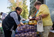 В Пензе работают более 20 сезонных ярмарок