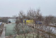 В Пензе выпал первый снег: какой ждать зимы