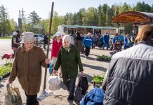 Пензенских дачников обеспечат саженцами по доступным ценам