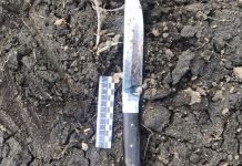 Житель области пытался зарезать сожительницу и покончить жизнь самоубийством