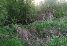 В Пензе нашли мать, которая бросила у реки новорожденного ребенка