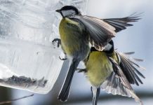 ﻿В выходные пензенцев ждет дождь 