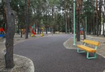 В Пензе подвели итоги первого этапа работ в сквере «Семейный»