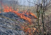 В Пензенской области за три дня выгорело 10 гектаров травы